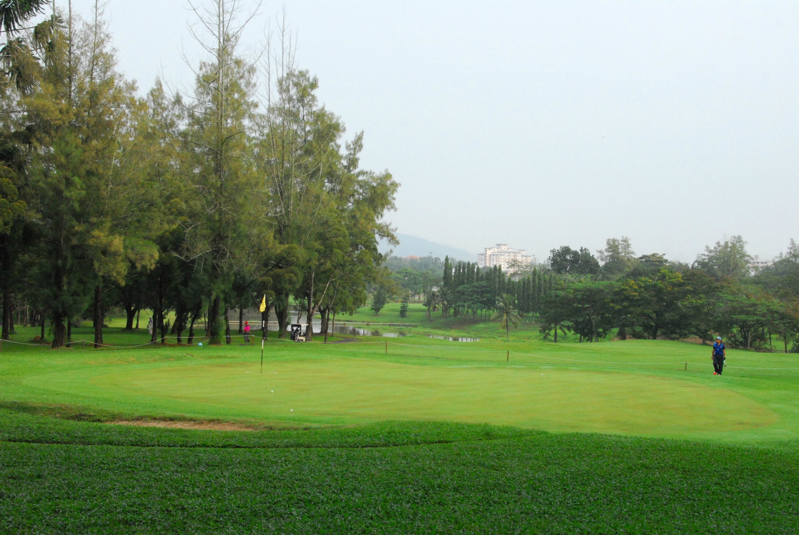 PRO15 157 GOLF DSC 0242.JPG